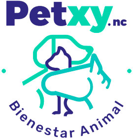 Logo Petxy