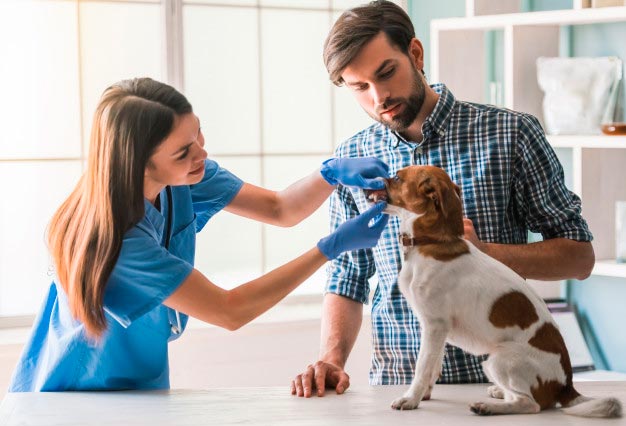 Veterinaria Mujer