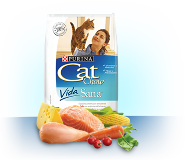 pack_interna_vida_sana